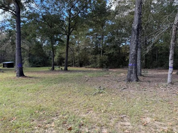 a view of backyard with green space