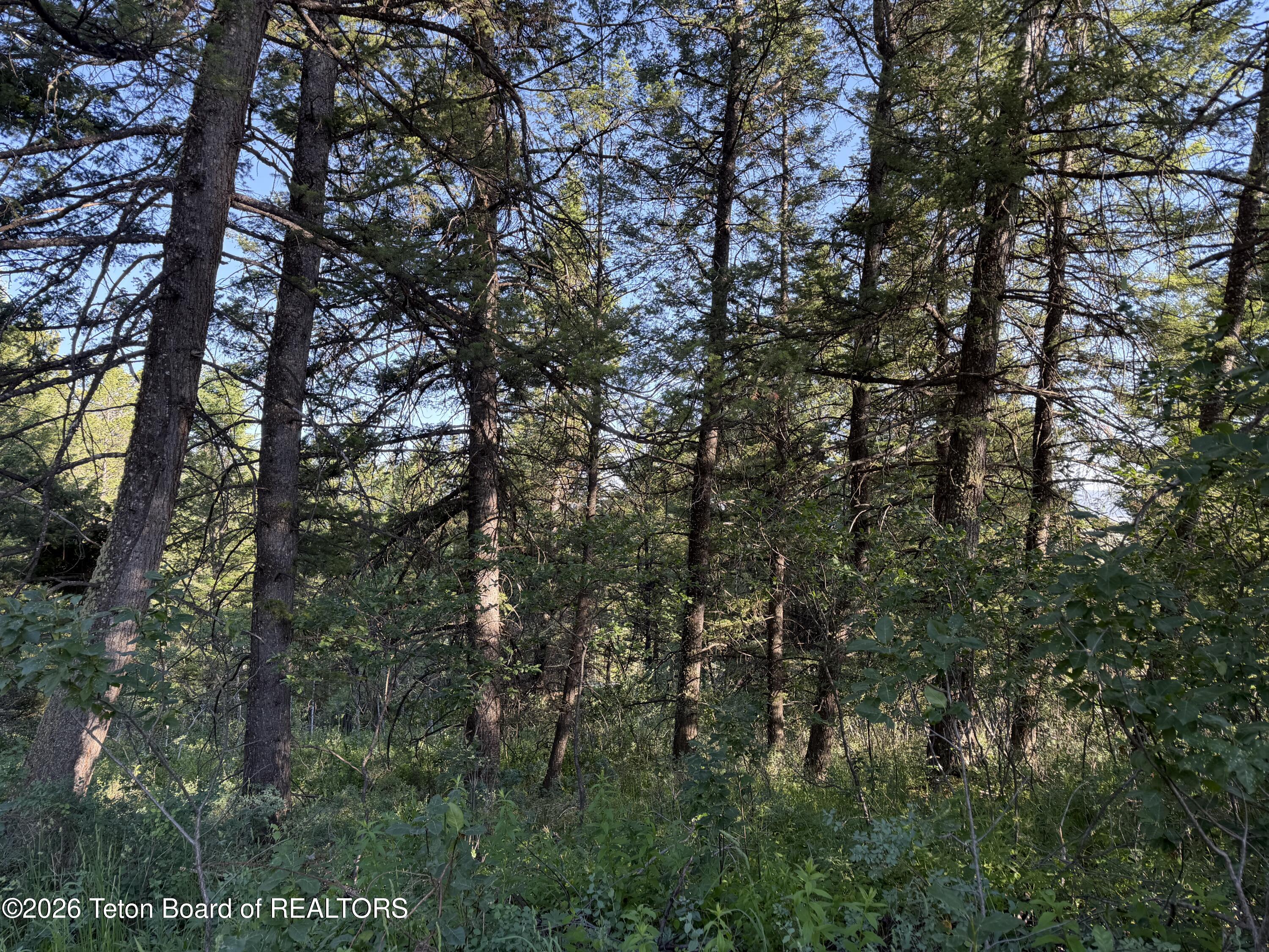 Lot 81 Redwood Road Star Valley Ranch, WY 83127 - Photo 11 of 11 IMG_2585