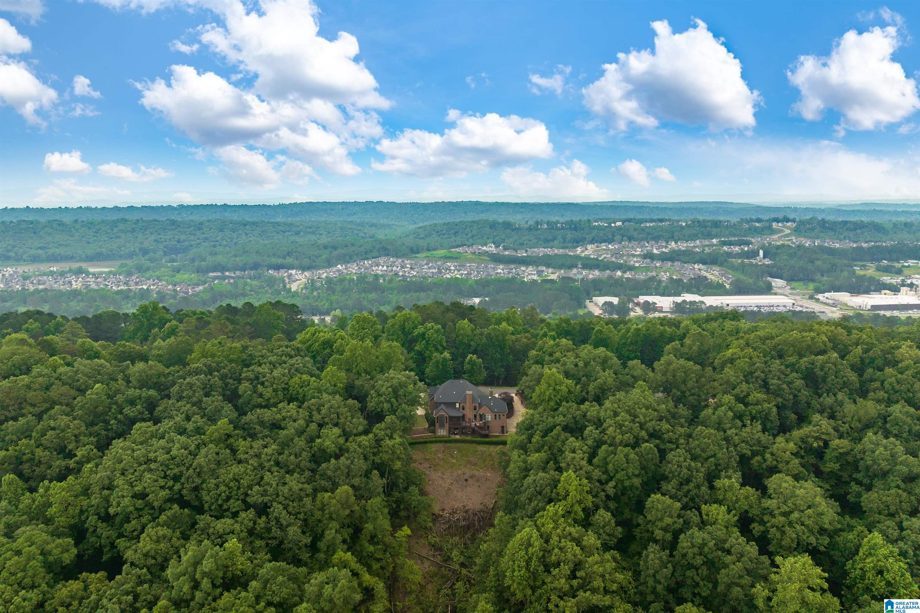 7659 Cottonridge Road Trussville, AL 35173 - Photo 53 of 63