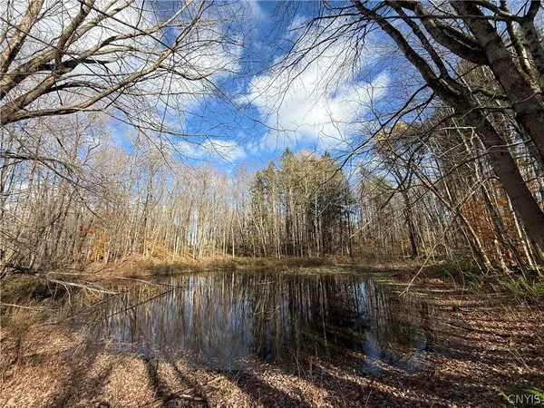 $50,000 | North Railroad Street, Parish, NY 13131