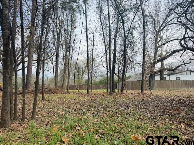 1002 North Hamlett Street Athens, TX 75751 - Photo 1 of 6 a backyard of a house with lots of green space