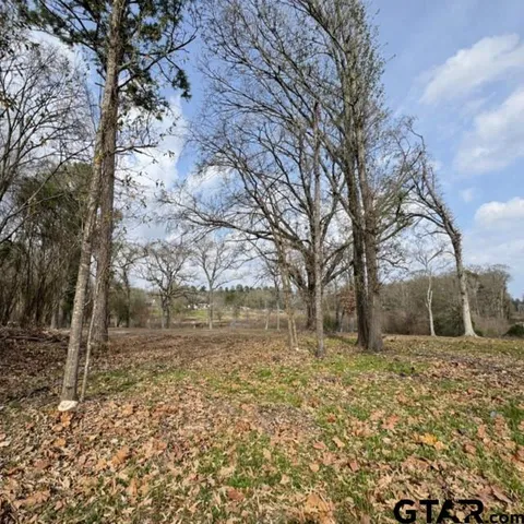 a backyard of a house with large trees