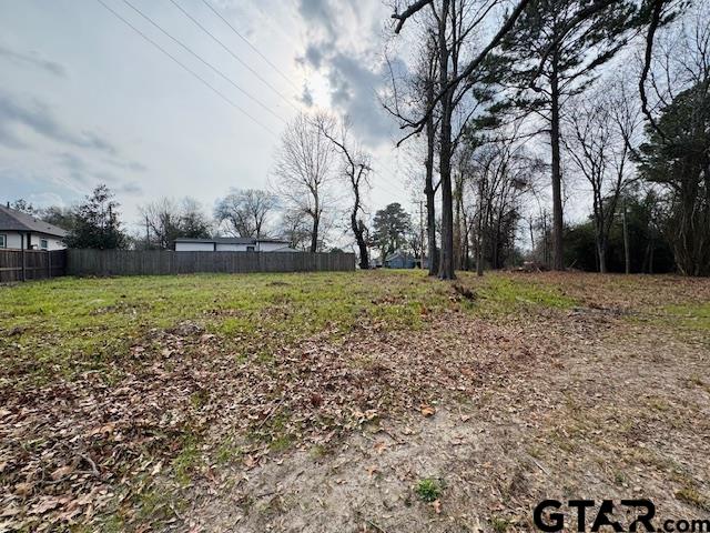 1002 North Hamlett Street Athens, TX 75751 - Photo 4 of 6 a view of a garden with trees