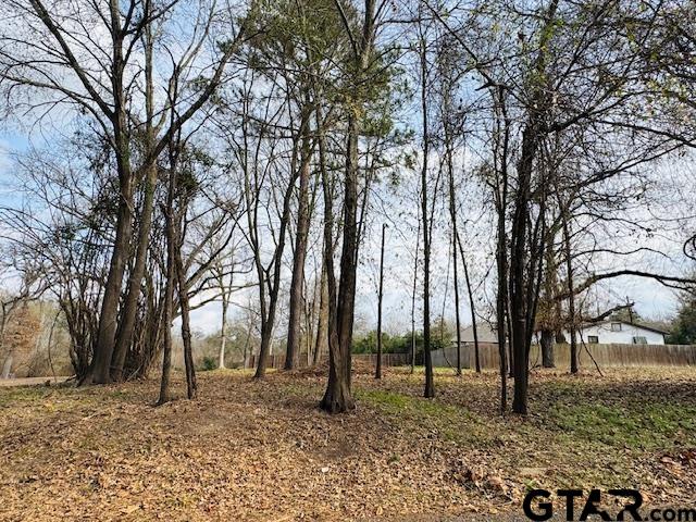 1002 North Hamlett Street Athens, TX 75751 - Photo 6 of 6 a backyard of a house with lots of green space