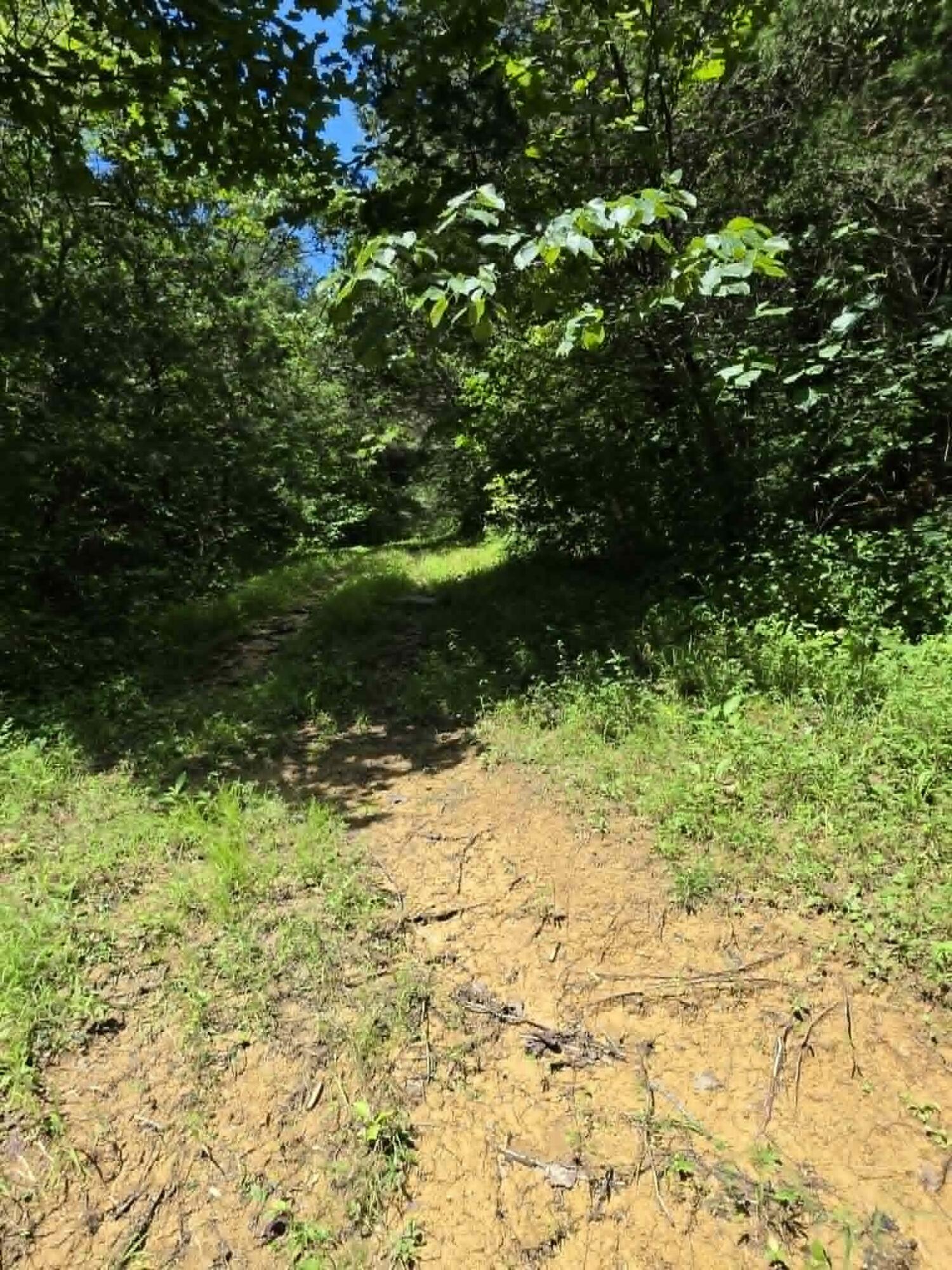 811 Hickory Ridge Road Waddy, KY 40076 - Photo 67 of 79 trail 5