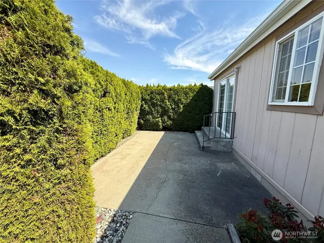 a view of a backyard