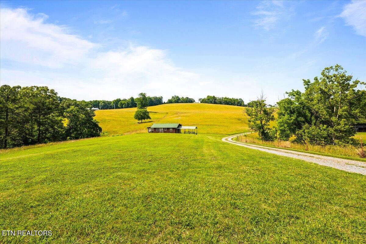 1476 Flat Hollow Road Speedwell, TN 37870 - Photo 8 of 42 48-1476 Flat Hollow Rd