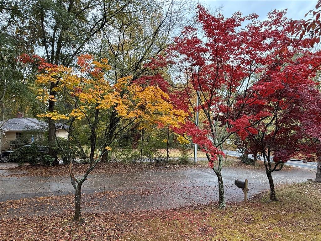 1140 Goodwin Place Northeast, Unit 4 Atlanta, GA 30319 - Photo 48 of 50 a view of a tree in front of a house
