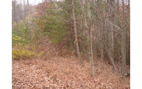 Lot# Lot Ridge Blairsville, GA 30512 - Photo 1 of 1 Main View