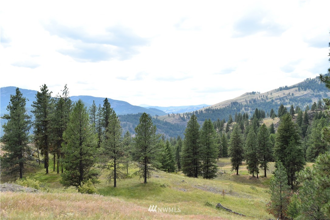 -tbd Tbd Sugarloaf Road Curlew, WA 99118 - Photo 1 of 21 Gallery Image 1
