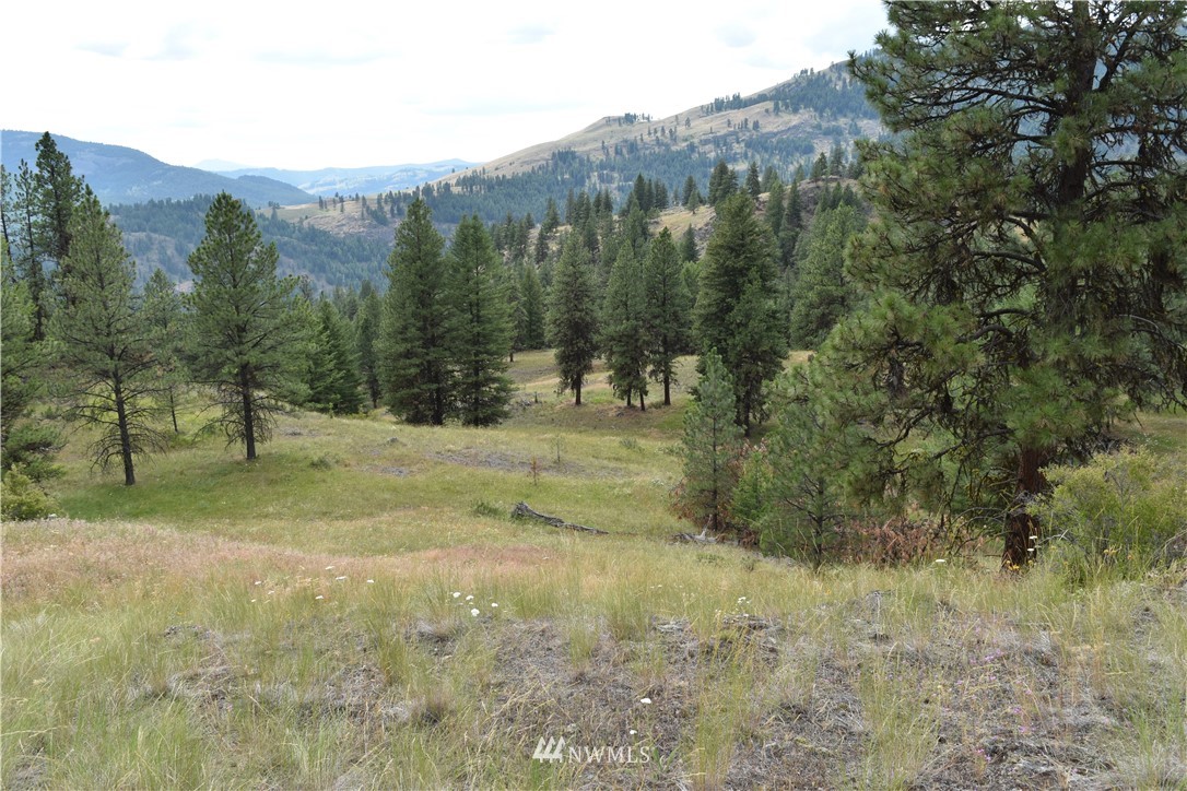 -tbd Tbd Sugarloaf Road Curlew, WA 99118 - Photo 2 of 21 Gallery Image 2