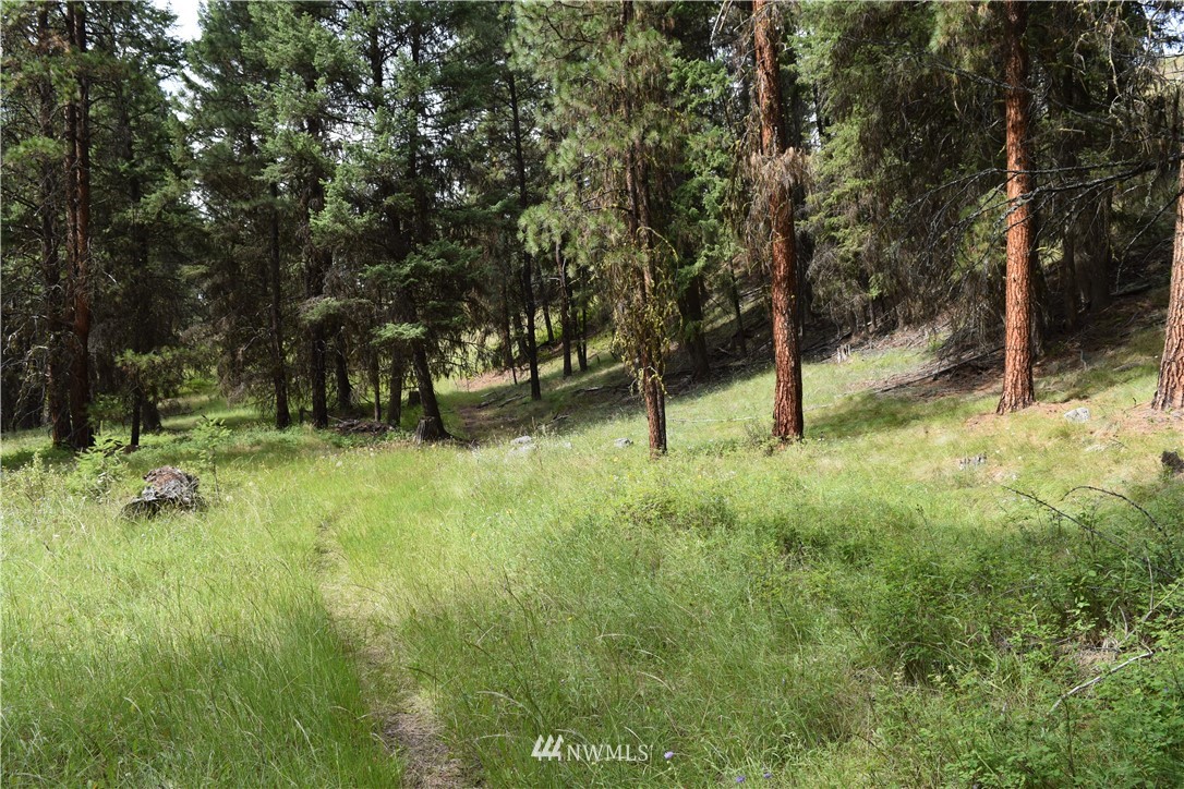 -tbd Tbd Sugarloaf Road Curlew, WA 99118 - Photo 11 of 21 Gallery Image 11