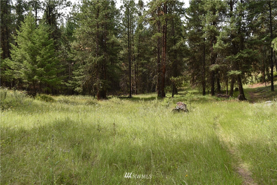-tbd Tbd Sugarloaf Road Curlew, WA 99118 - Photo 12 of 21 Gallery Image 12