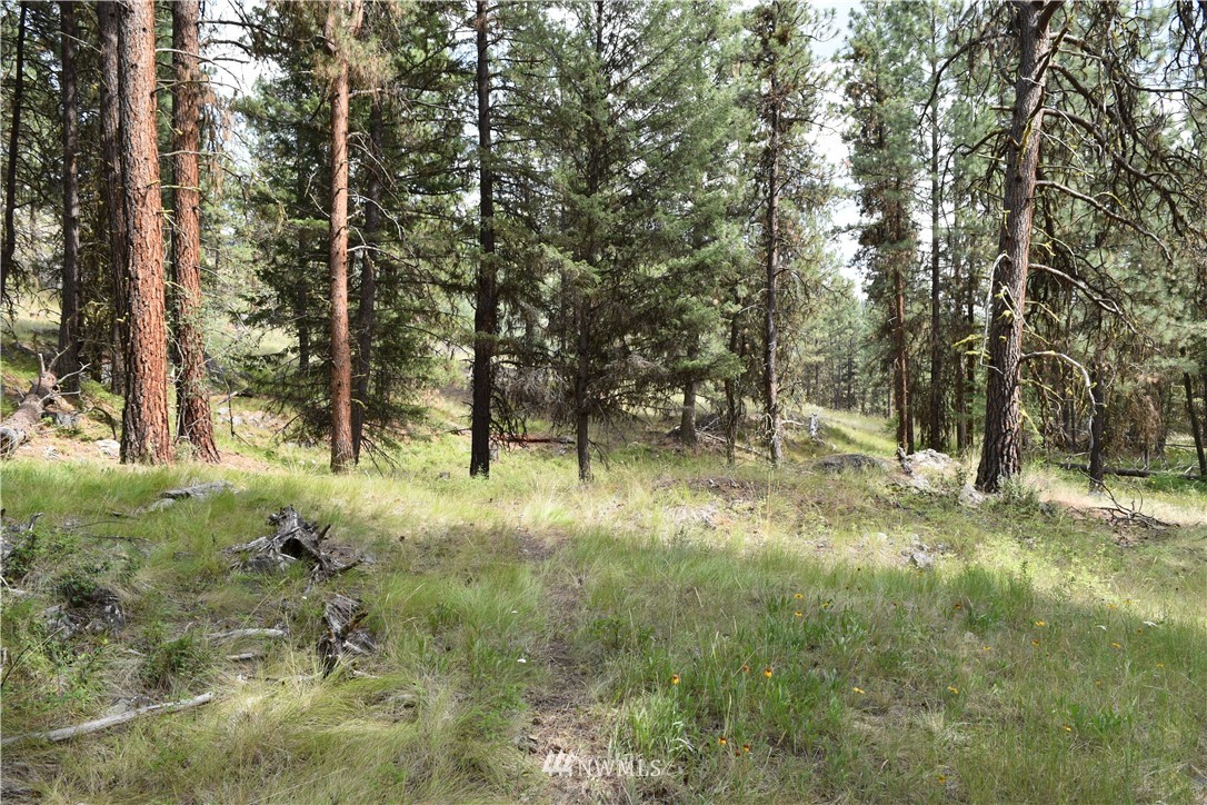 -tbd Tbd Sugarloaf Road Curlew, WA 99118 - Photo 13 of 21 Gallery Image 13