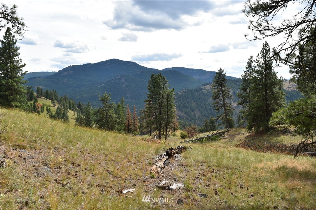 -tbd Tbd Sugarloaf Road Curlew, WA 99118 - Photo 15 of 21 Gallery Image 15
