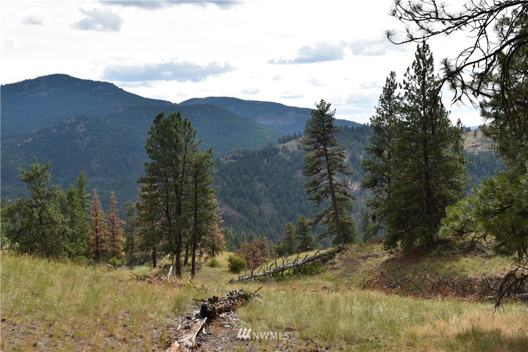 -tbd Tbd Sugarloaf Road Curlew, WA 99118 - Photo 16 of 21 Gallery Image 16