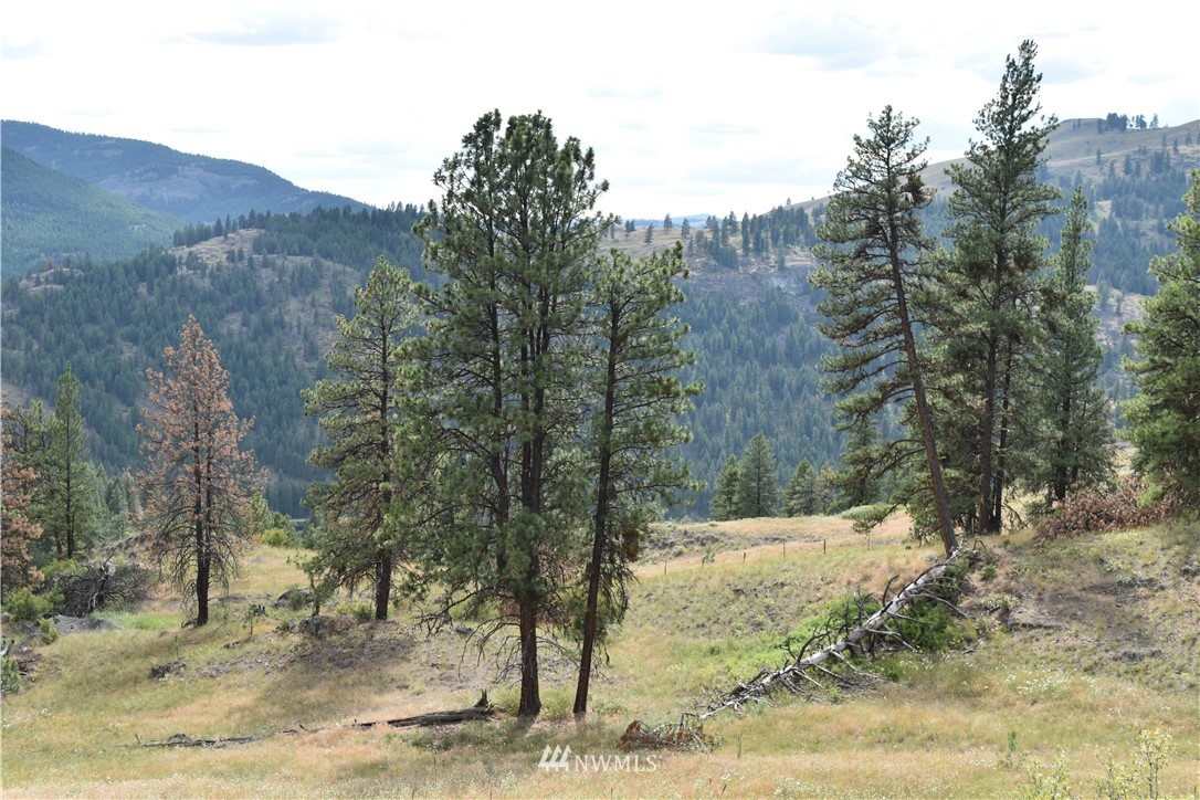 -tbd Tbd Sugarloaf Road Curlew, WA 99118 - Photo 17 of 21 Gallery Image 17