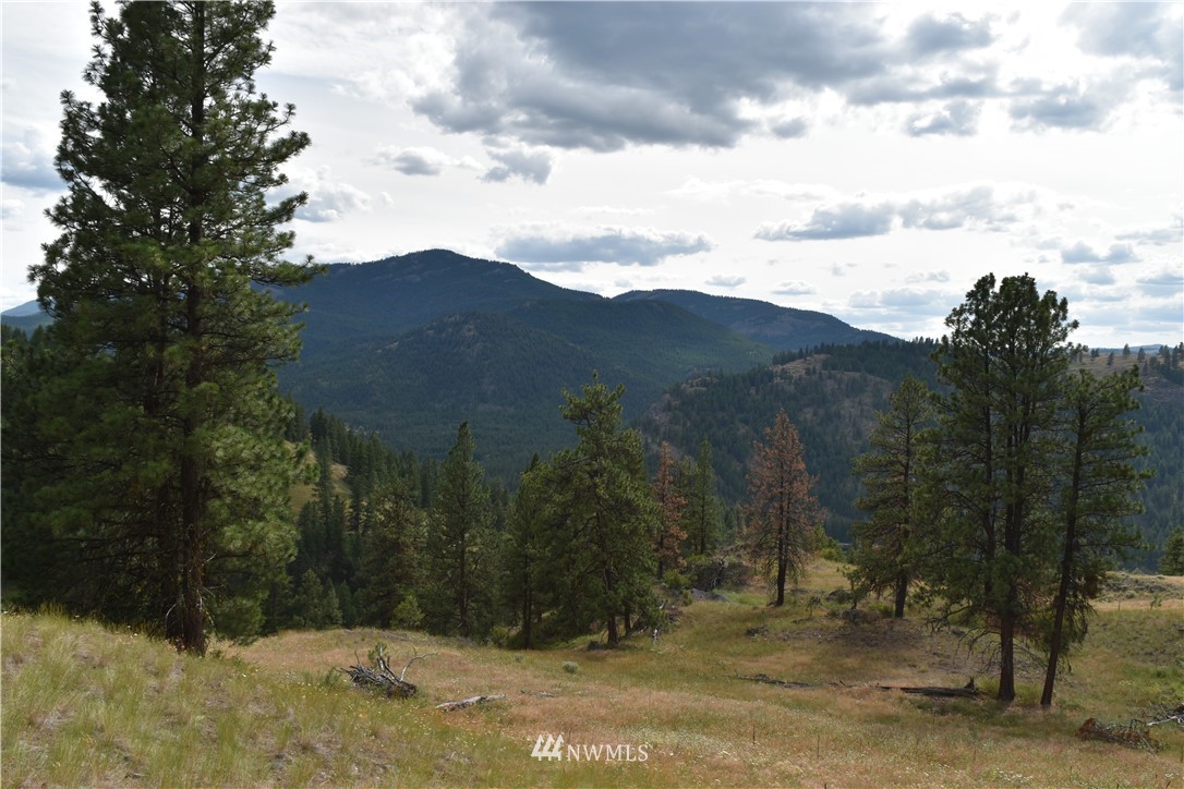 -tbd Tbd Sugarloaf Road Curlew, WA 99118 - Photo 18 of 21 Gallery Image 18