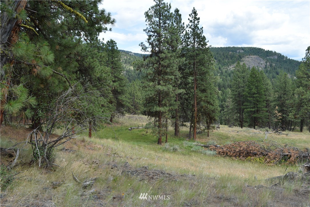 -tbd Tbd Sugarloaf Road Curlew, WA 99118 - Photo 20 of 21 Gallery Image 20