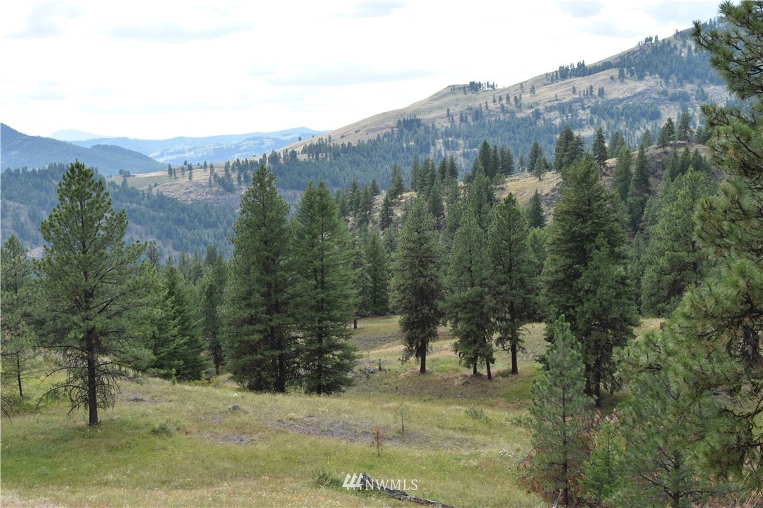 -tbd Tbd Sugarloaf Road Curlew, WA 99118 - Photo 3 of 21 Gallery Image 3