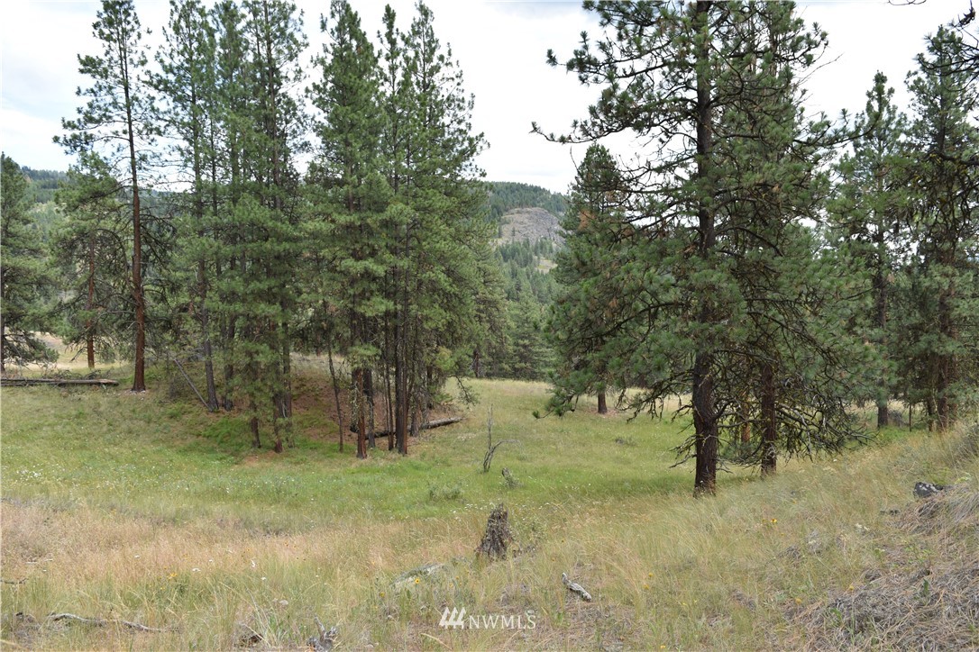 -tbd Tbd Sugarloaf Road Curlew, WA 99118 - Photo 21 of 21 Gallery Image 21