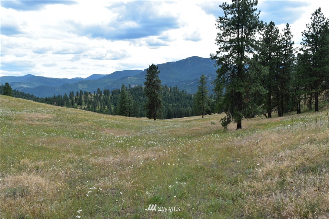 -tbd Tbd Sugarloaf Road Curlew, WA 99118 - Photo 4 of 21 Gallery Image 4