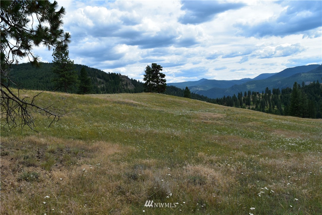 -tbd Tbd Sugarloaf Road Curlew, WA 99118 - Photo 5 of 21 Gallery Image 5