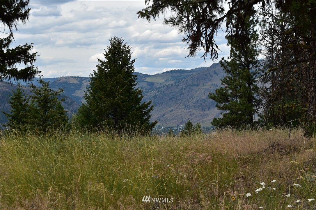 -tbd Tbd Sugarloaf Road Curlew, WA 99118 - Photo 6 of 21 Gallery Image 6