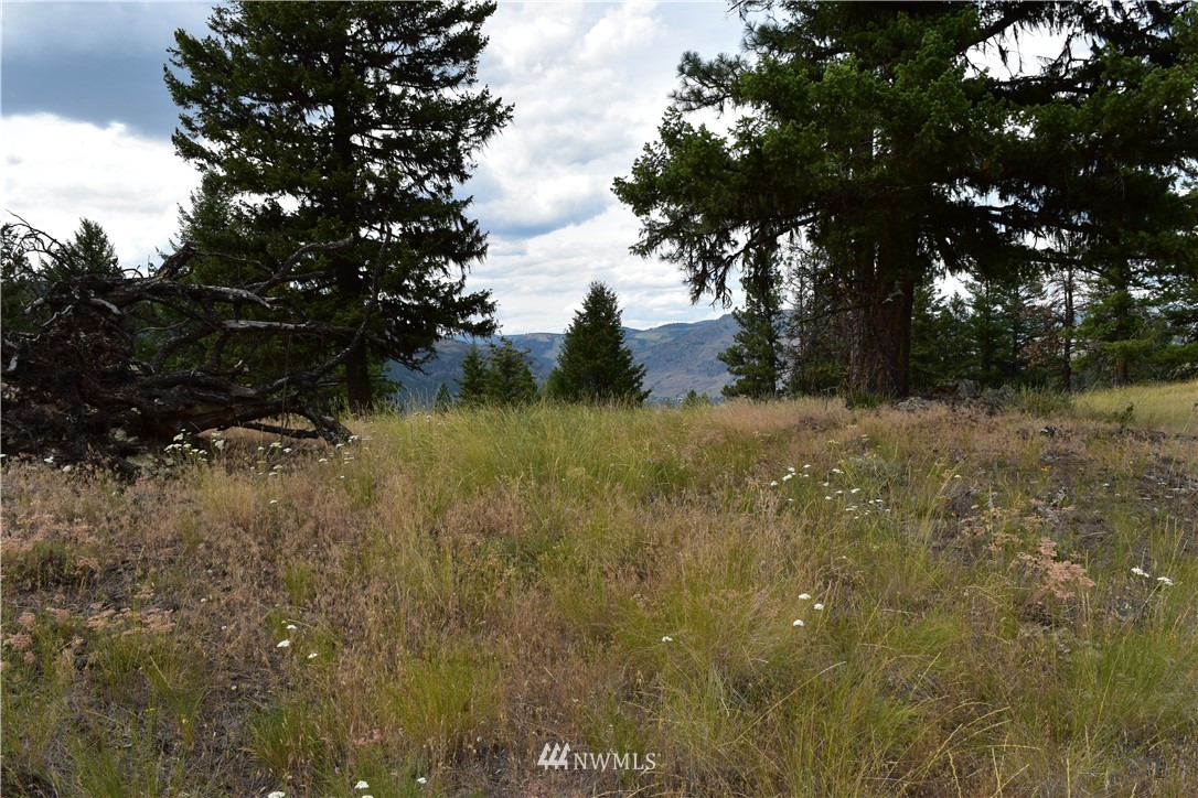 -tbd Tbd Sugarloaf Road Curlew, WA 99118 - Photo 7 of 21 Gallery Image 7