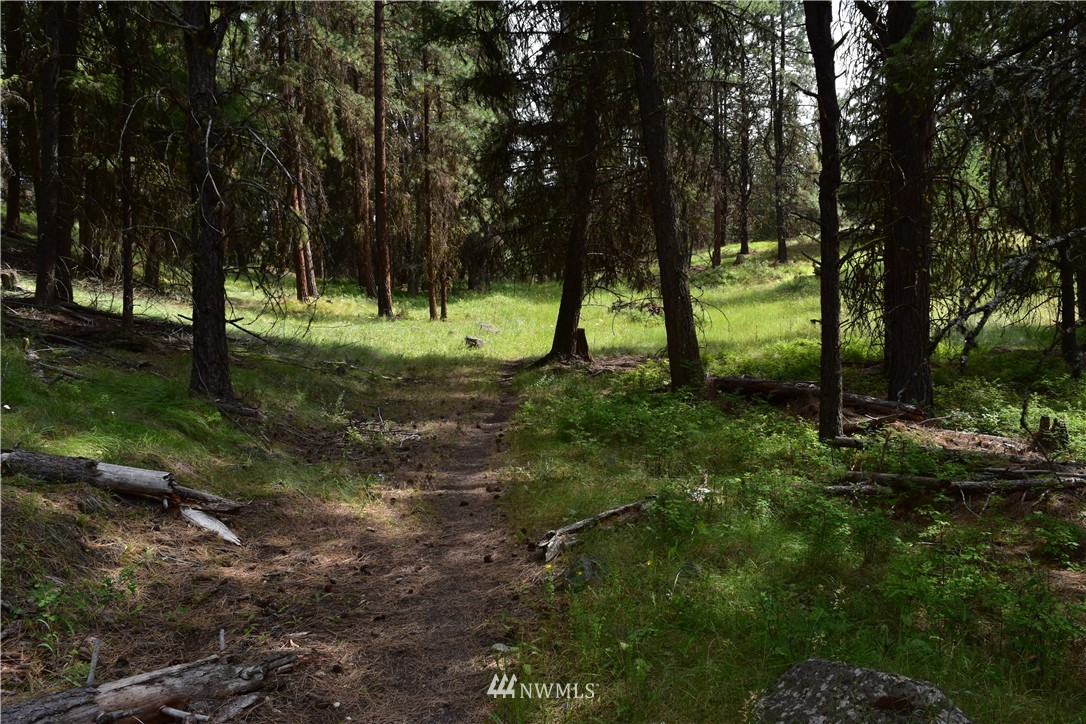 -tbd Tbd Sugarloaf Road Curlew, WA 99118 - Photo 8 of 21 Gallery Image 8