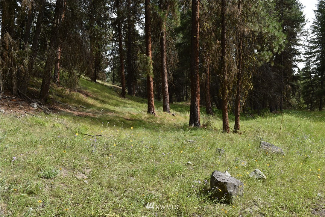 -tbd Tbd Sugarloaf Road Curlew, WA 99118 - Photo 9 of 21 Gallery Image 9