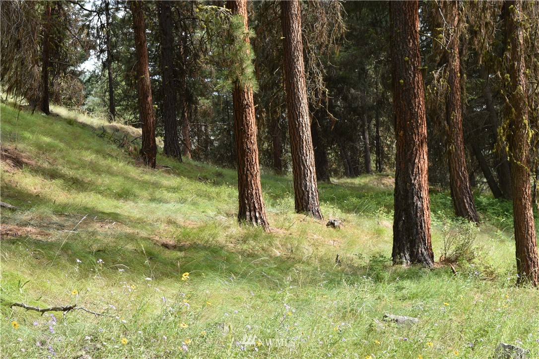 -tbd Tbd Sugarloaf Road Curlew, WA 99118 - Photo 10 of 21 Gallery Image 10