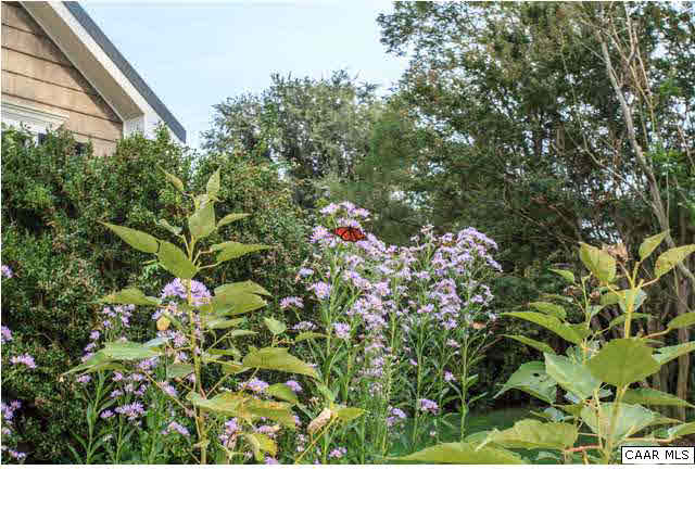 831 Spences Point Road Kinsale, VA 22488 - Photo 46 of 48 Landscaping