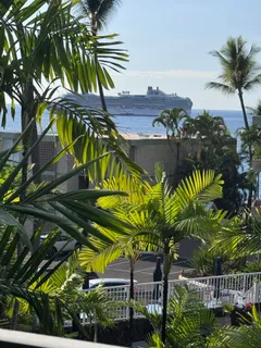 a view of a flower in a garden
