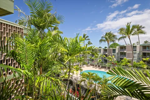 a view of a yard with plants and palm trees