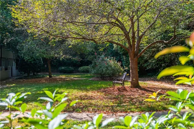 a view of backyard with swimming pool
