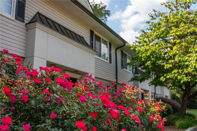 a flower plants in front of a house