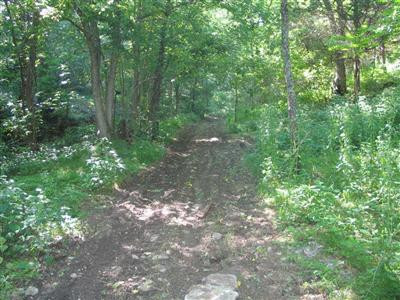 1312 West Prong Locust Road Milton, KY 40045 - Photo 4 of 8 Gallery Image 4
