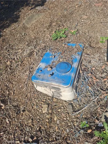 a view of a yard from a window