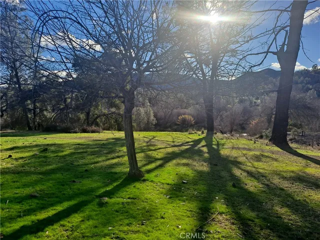 a view of a yard with a house in the background