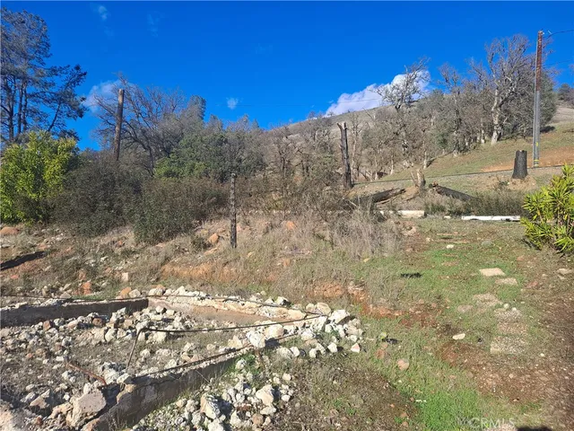a view of a yard with trees in the background