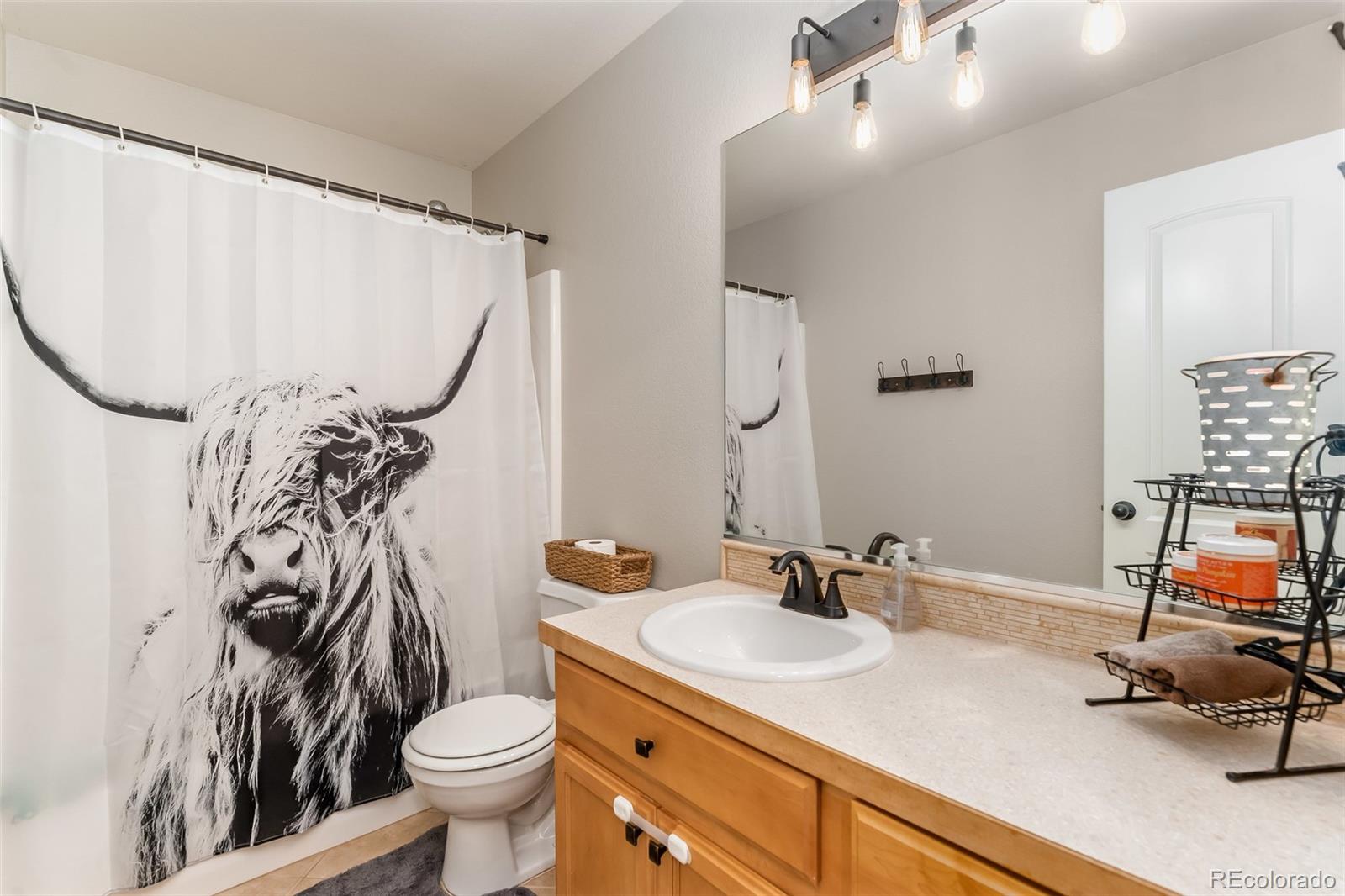 427 Territory Lane Johnstown, CO 80534 - Photo 15 of 34