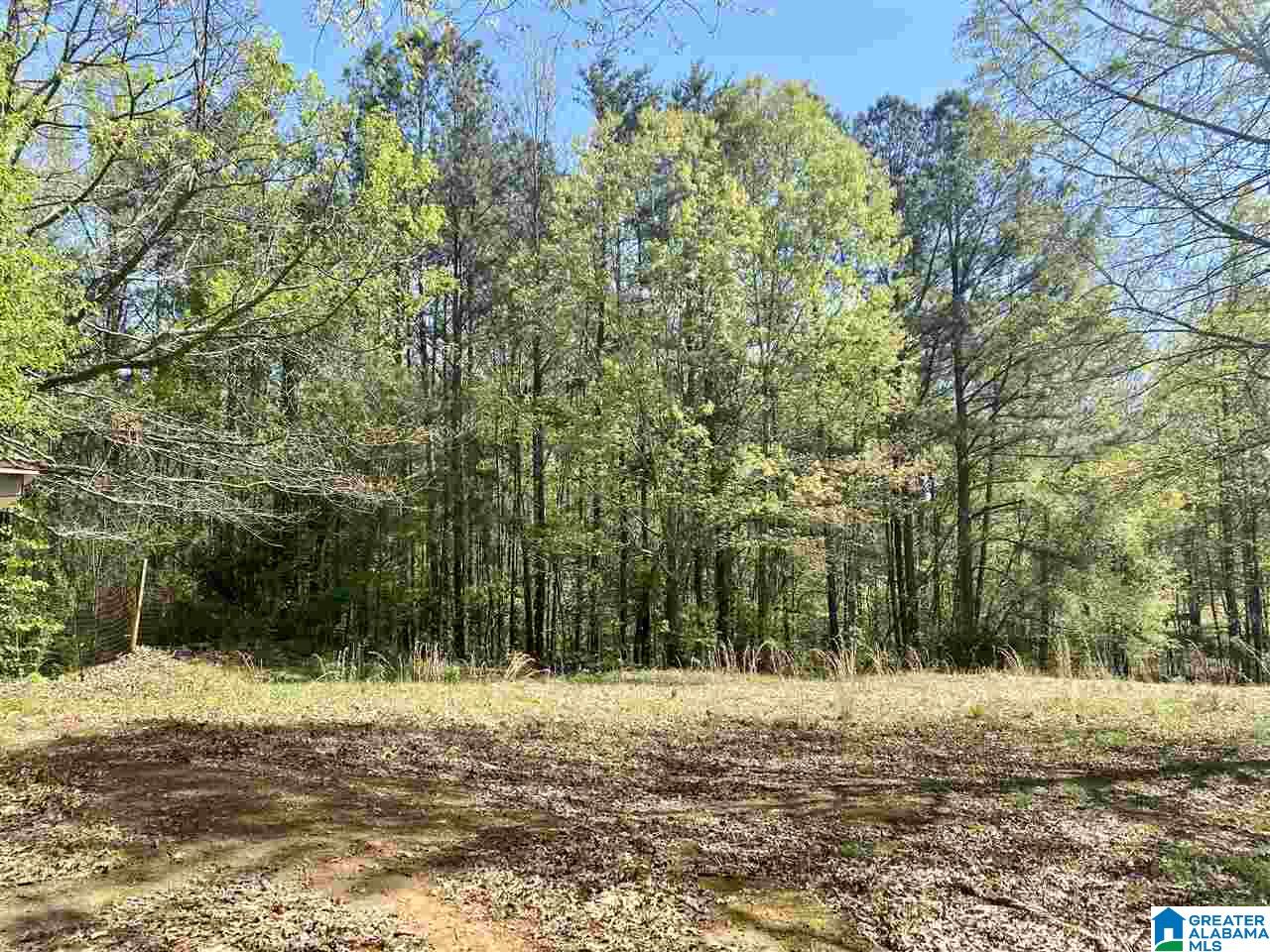 4201 Bristow Cove Road, Unit 1 Boaz, AL 35956 - Photo 6 of 23