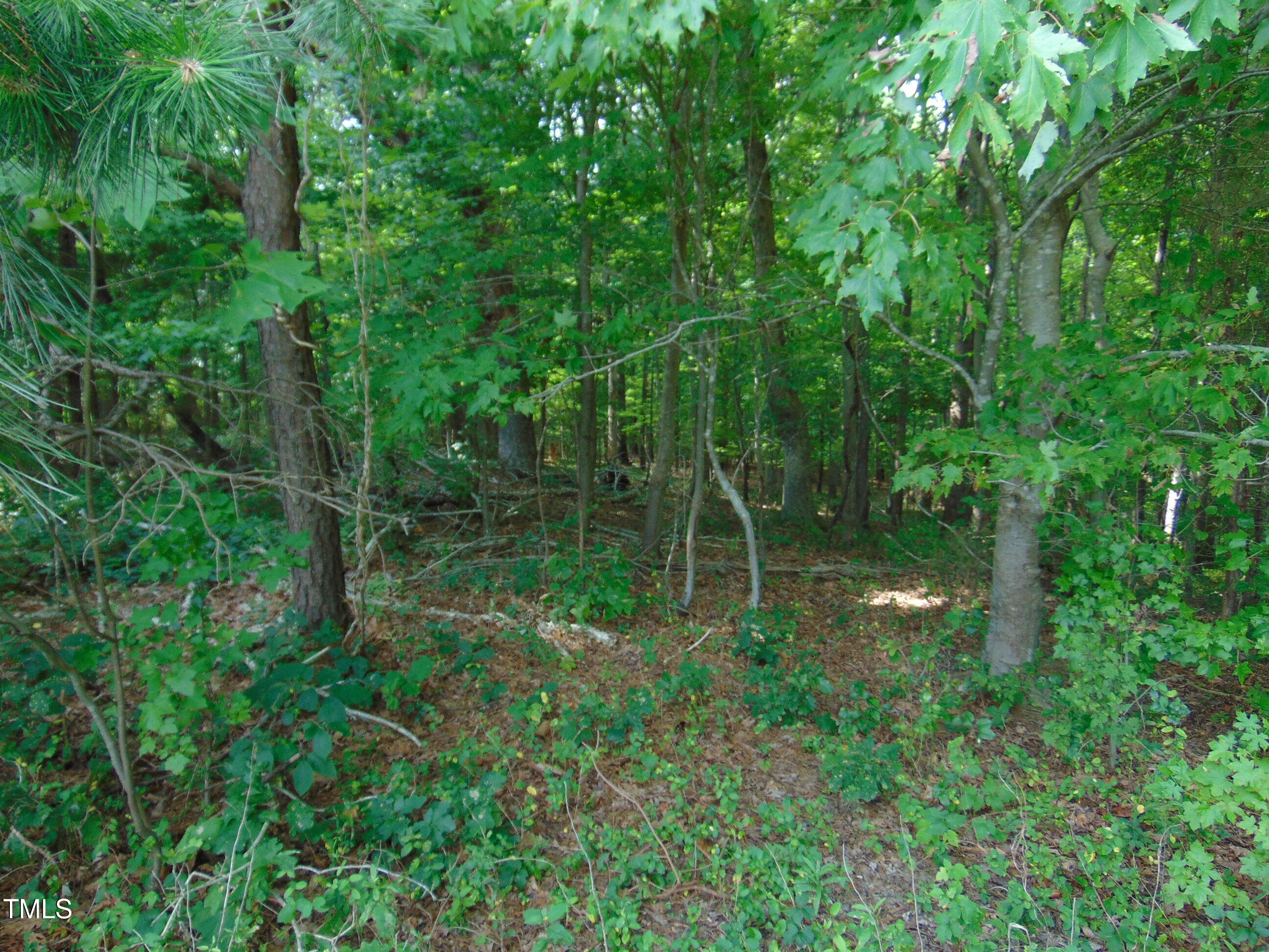 0 Epps Fork Road Clarksville, VA 23927 - Photo 4 of 8 The rear portion is wooded