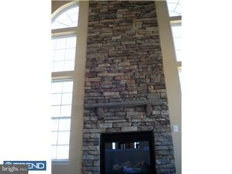 141 Edgar Road, Unit WEXF Townsend, DE 19734 - Photo 4 of 12 Fireplace