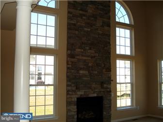 141 Edgar Road, Unit WEXF Townsend, DE 19734 - Photo 7 of 12 Fireplace