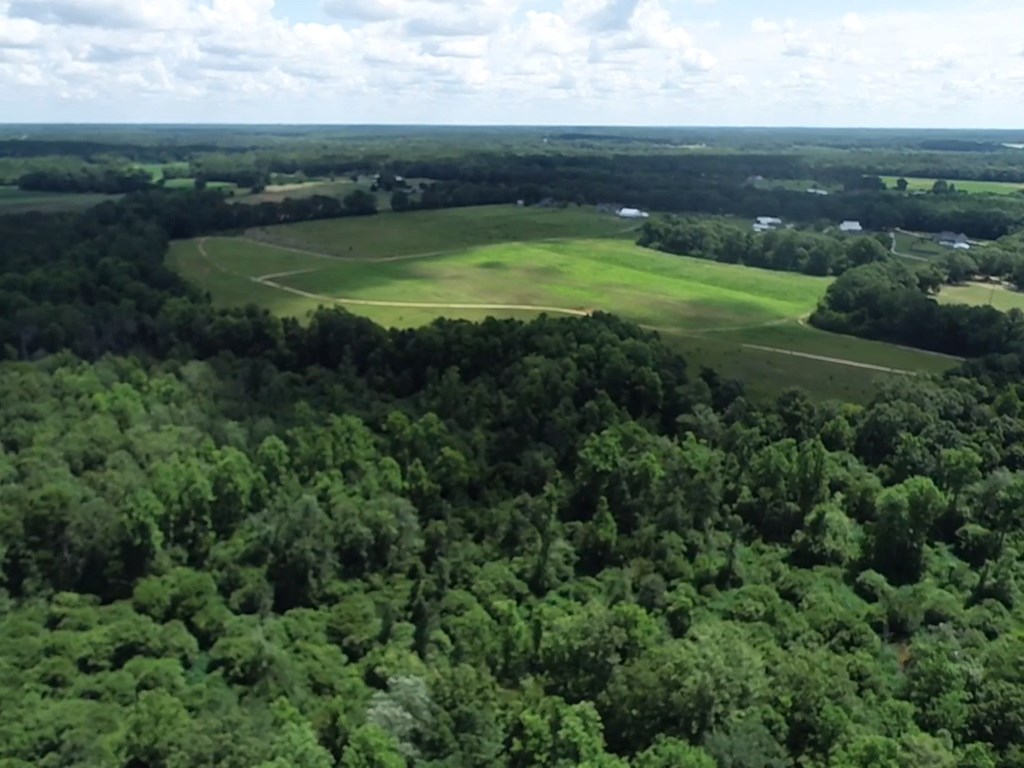 16-ac 16-ac National Road Dothan, AL 36301 - Photo 33 of 45