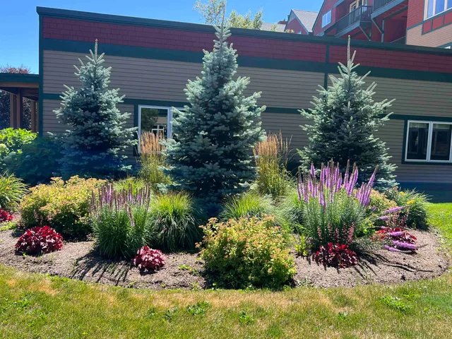 $32,000 | 226-228 Qtr 2 Grand Summit Way, Unit 226/228 QTR 2, West Dover, VT 05356