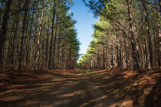 $7,711,665 | 0 Mayfield Divide Road, Centerville, TN 37033