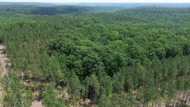a view of a green field with lots of bushes